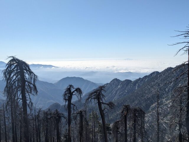 PXL_20250912_164108173