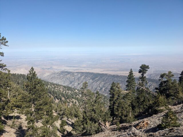 PXL_20250913_171200556