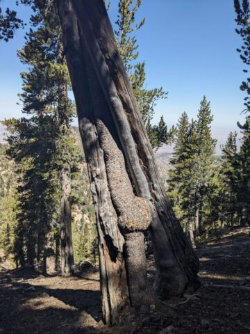 PXL_20250913_183241248