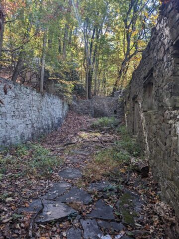 PXL_20251021_175520615