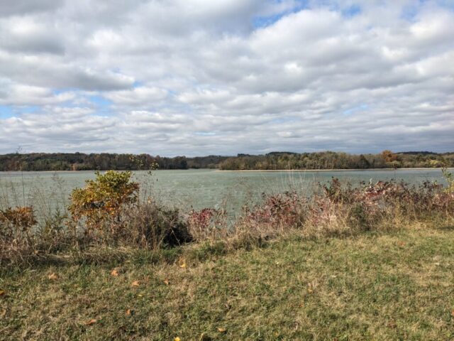 PXL_20251023_152854324