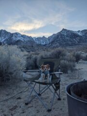 PXL_20260118_005525151